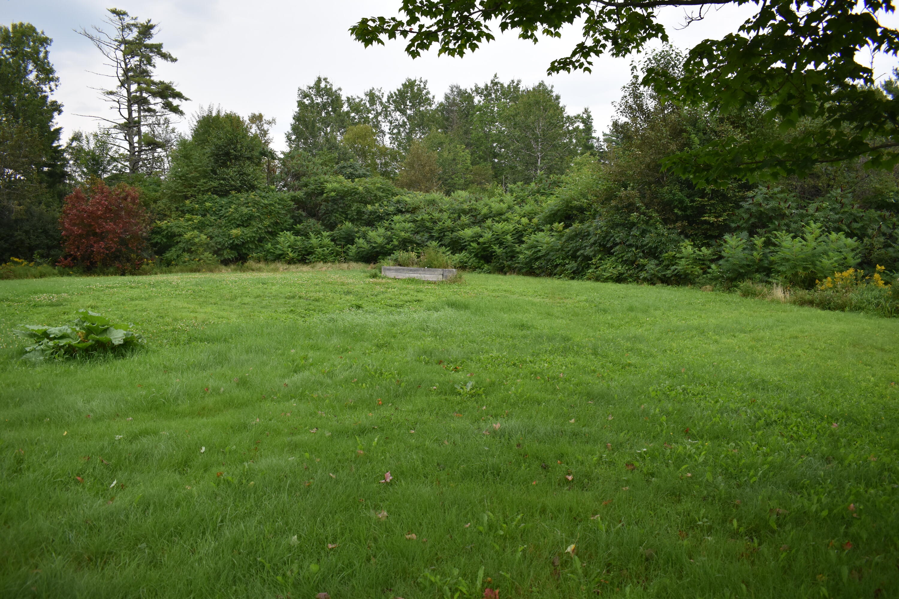 115 Pea Ridge Road Chester, ME 04457 - Photo 8 of 33 DSC_0401 - Copy (2)