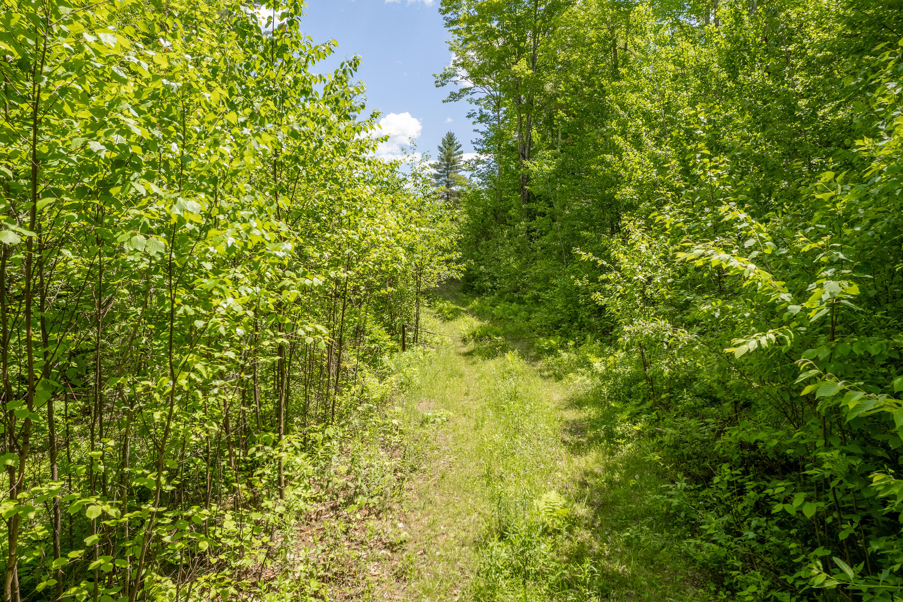 0 East Chase Road Brooks, ME 04921 - Photo 6 of 11 0 East Chase Rd_103