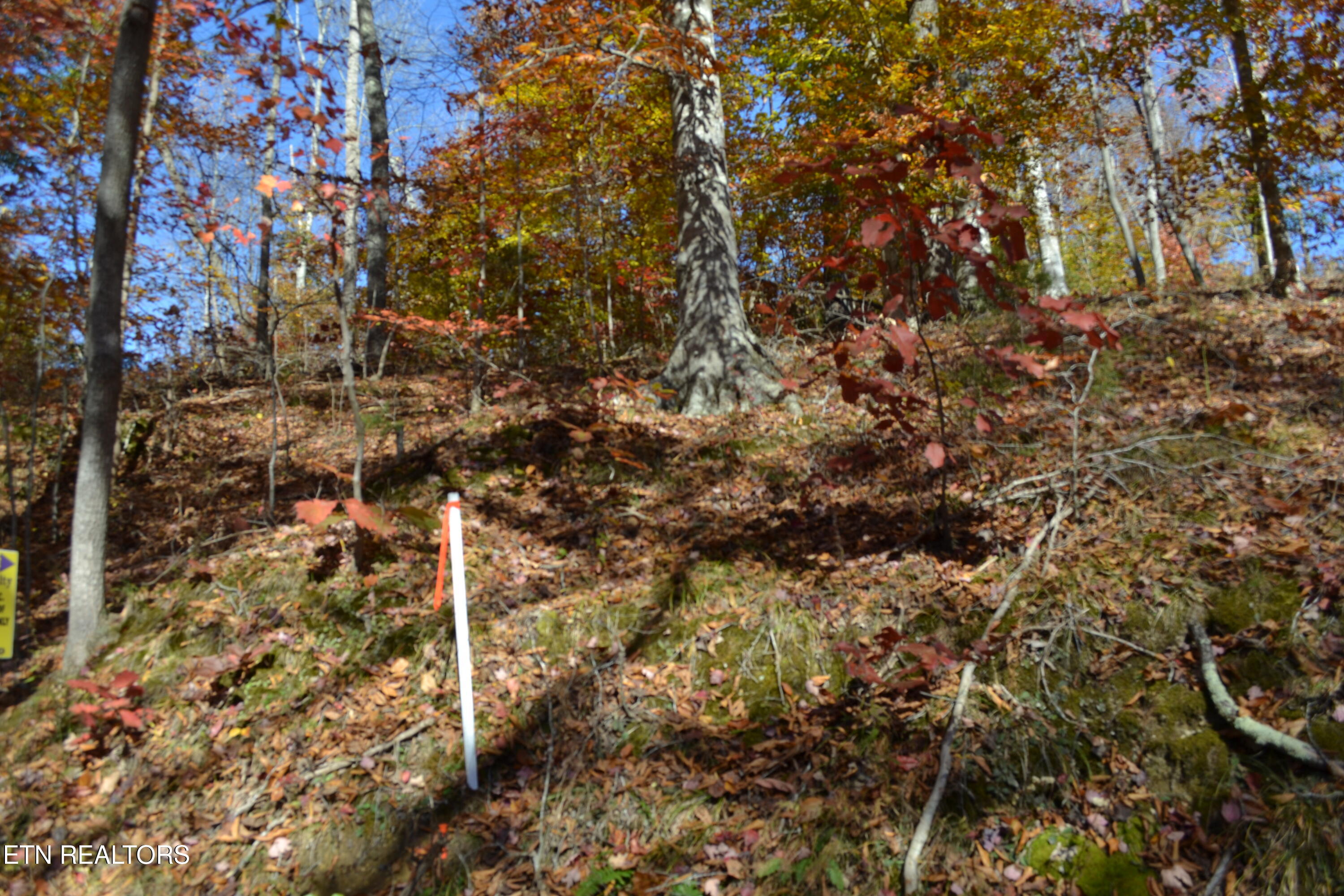 28.30-ac Whitson Hollow Road Red Boiling Springs, TN 37150 - Photo 28 of 50 DSC_0129