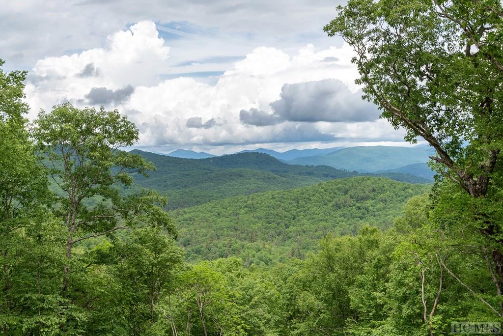 Lot D50 Springwater Road Glenville, NC 28736 - Photo 10 of 33 Gallery Image 10
