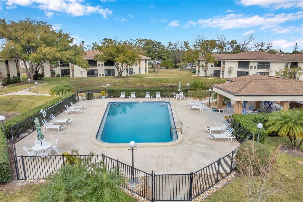2700 Nebraska Avenue, Unit 3201 Palm Harbor, FL 34684 - Photo 41 of 50 a view of a swimming pool with a patio