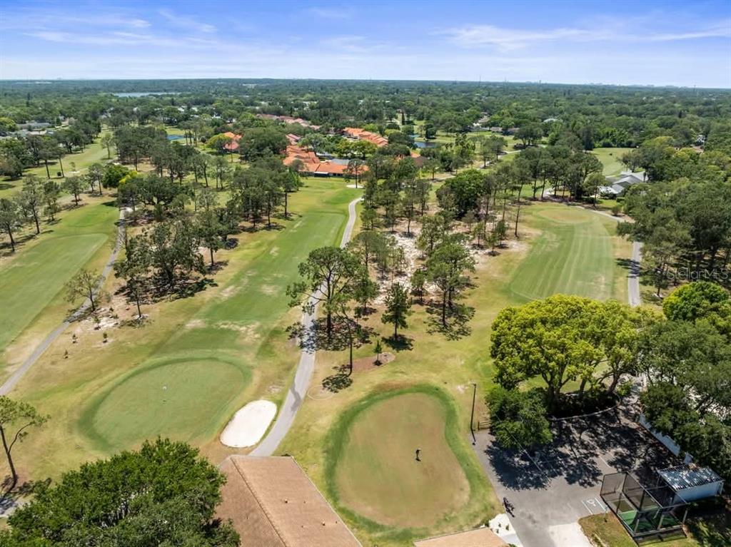 2700 Nebraska Avenue, Unit 3201 Palm Harbor, FL 34684 - Photo 44 of 50 an aerial view of residential house with outdoor space and swimming pool