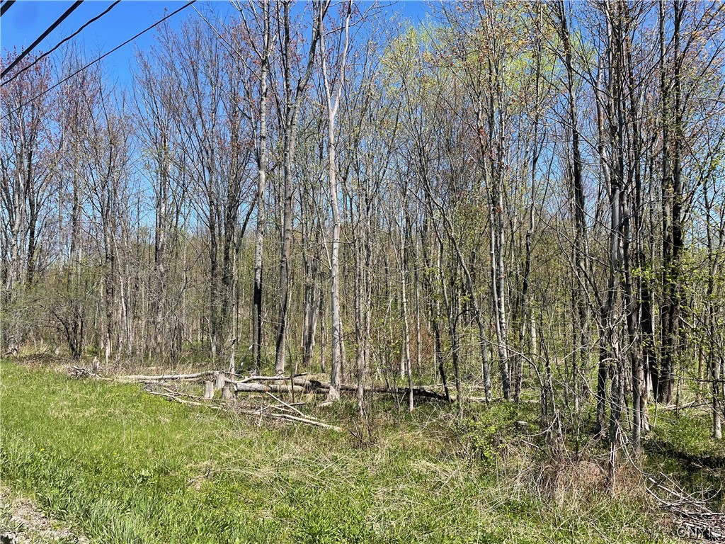6038 Glass Factory Road Marcy, NY 13403 - Photo 1 of 1 Level 1 acre Building Lot