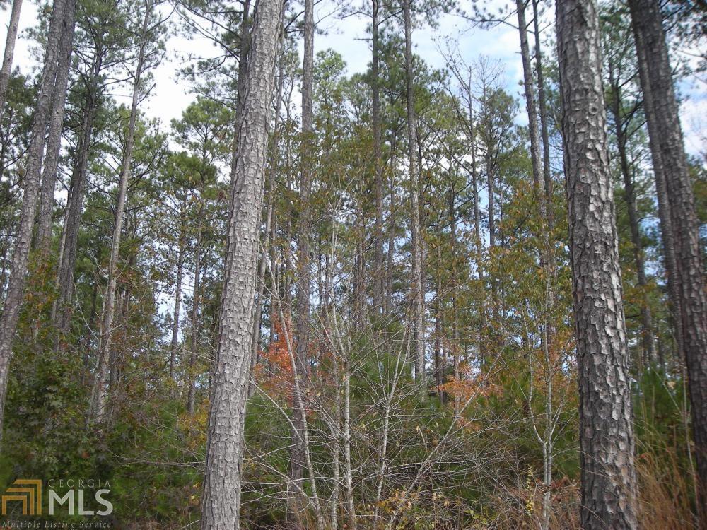 0 Judd Road Buchanan, GA 30113 - Photo 1 of 1