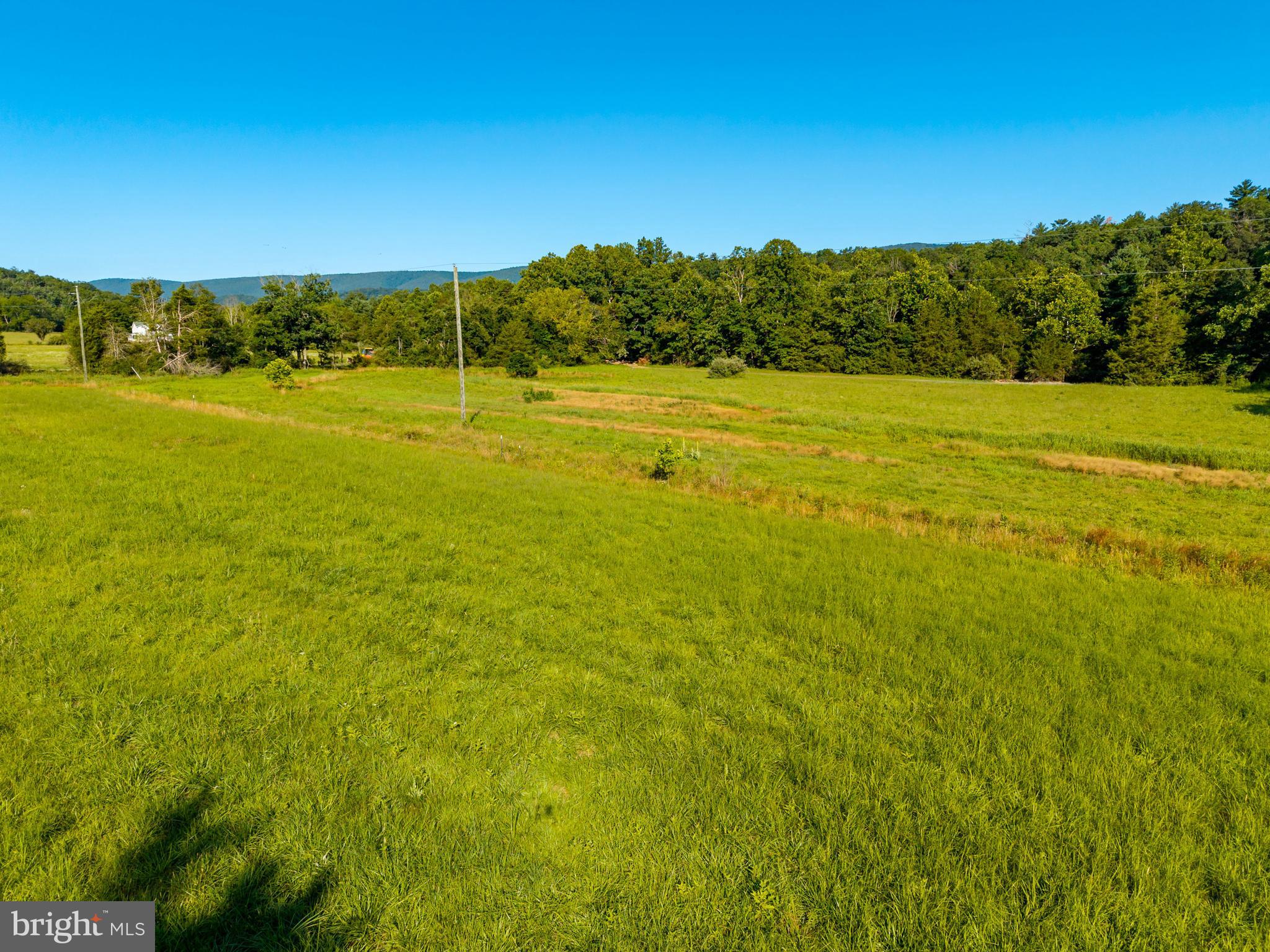 Alum Spring Road Edinburg, VA 22824 - Photo 6 of 15