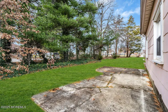 a view of a yard with plants and trees