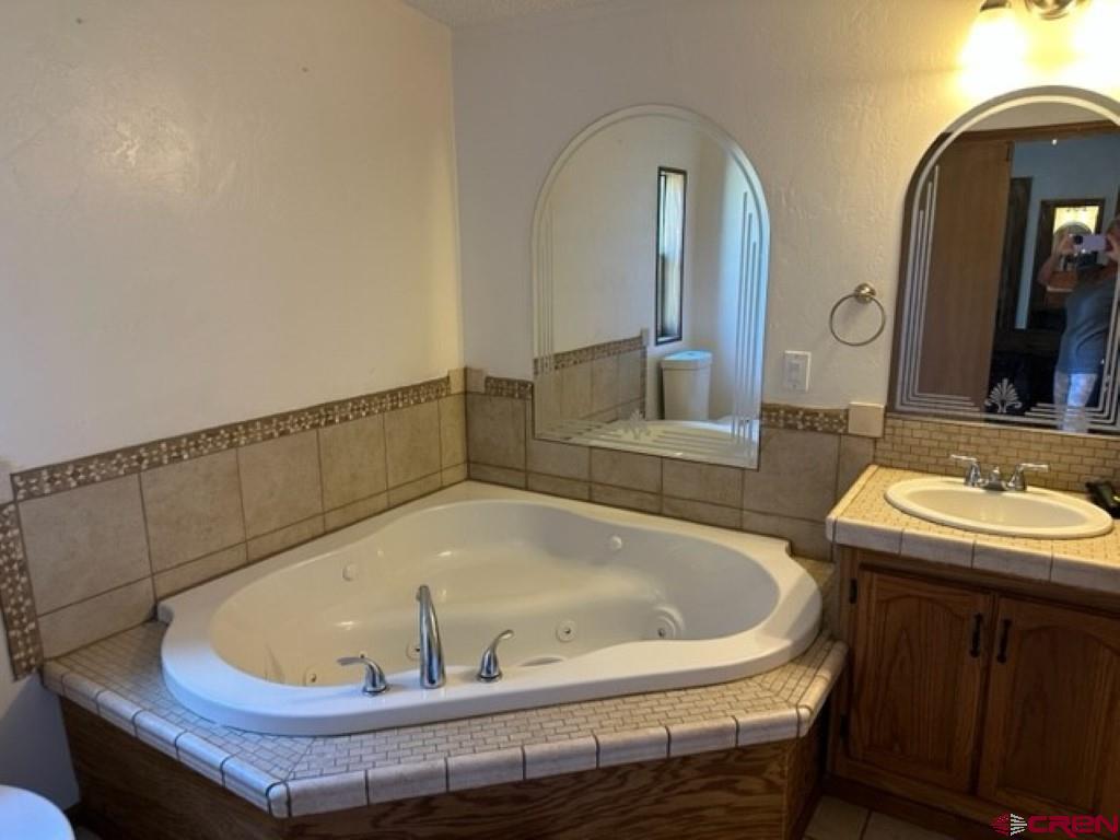 32 Hidden Lane Durango, CO 81303 - Photo 16 of 26 a bath tub sitting next to a bathroom sink
