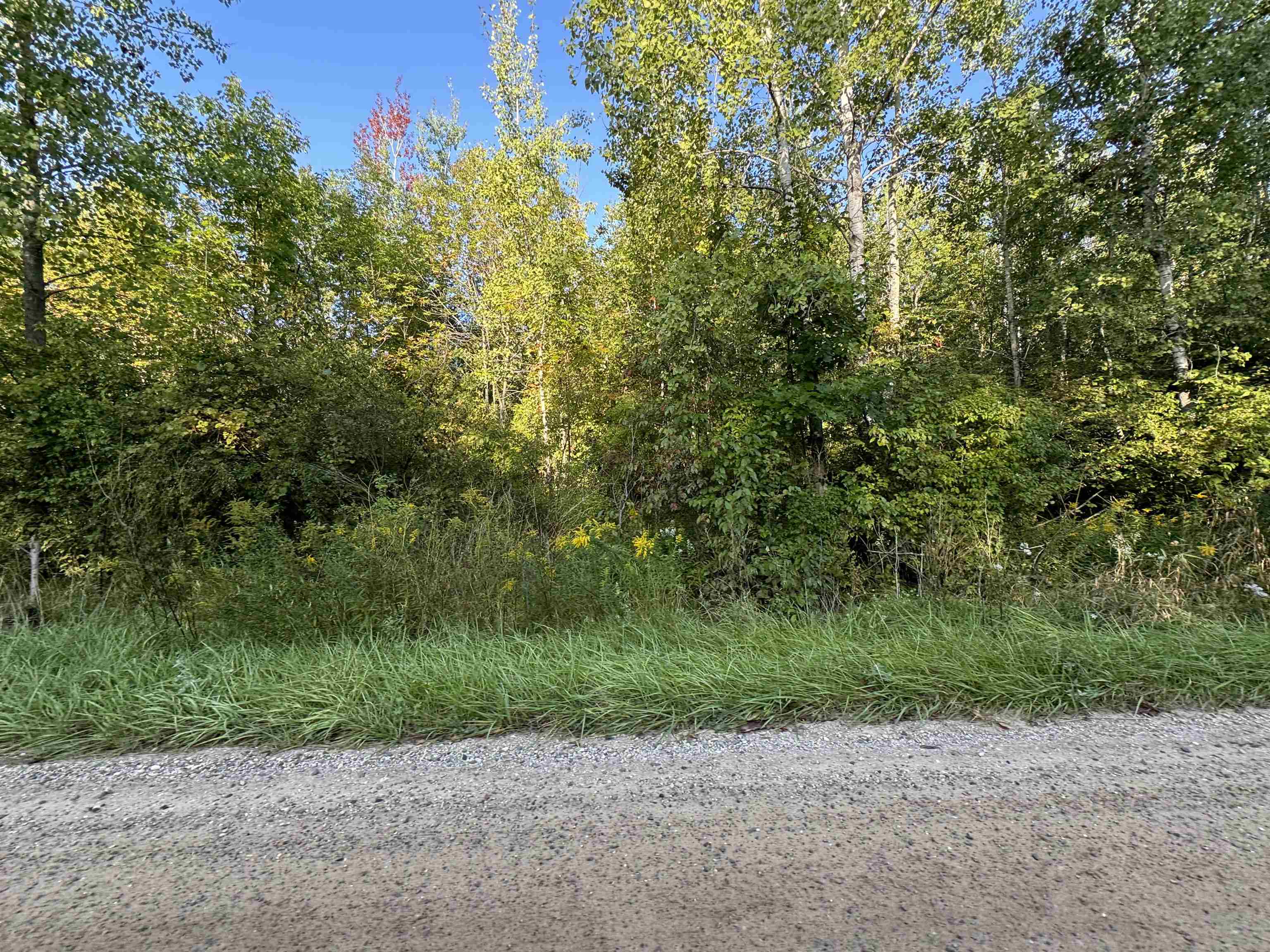Tbd McGilvery Lake Road Gladwin, MI 48624 - Photo 8 of 30