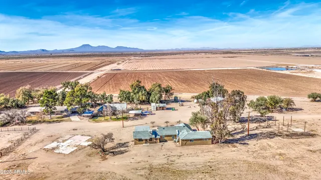 a view of a yard with plants and trees