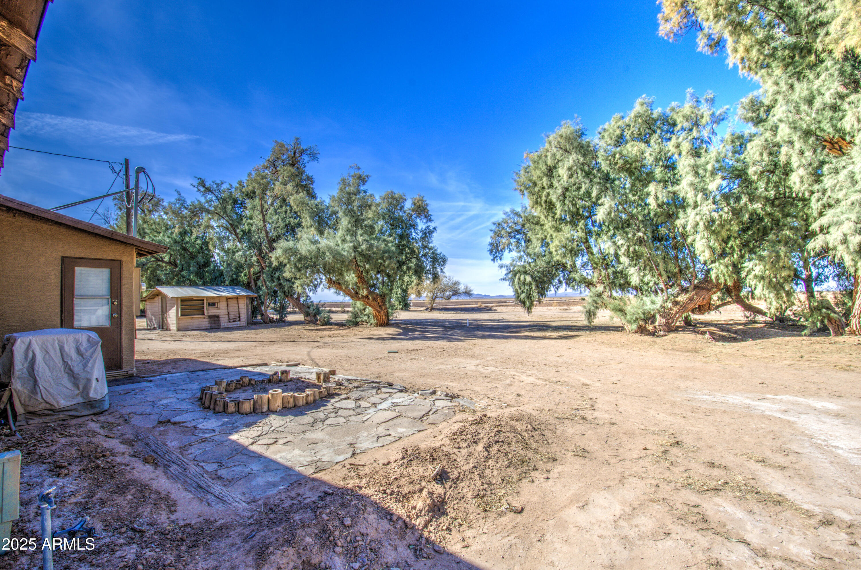 8050 South Bianco Road Casa Grande, AZ 85193 - Photo 9 of 96 a view of a yard with plants and trees