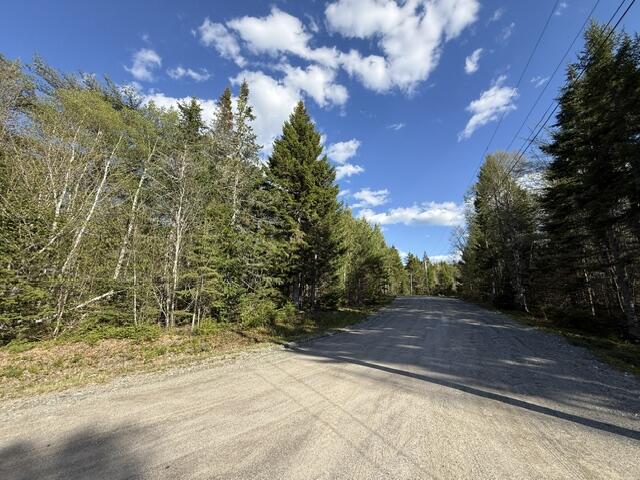 Lot 13 Pidgeon Point Road Whiting, ME 04691 - Photo 6 of 25 IMG_9951 (2)