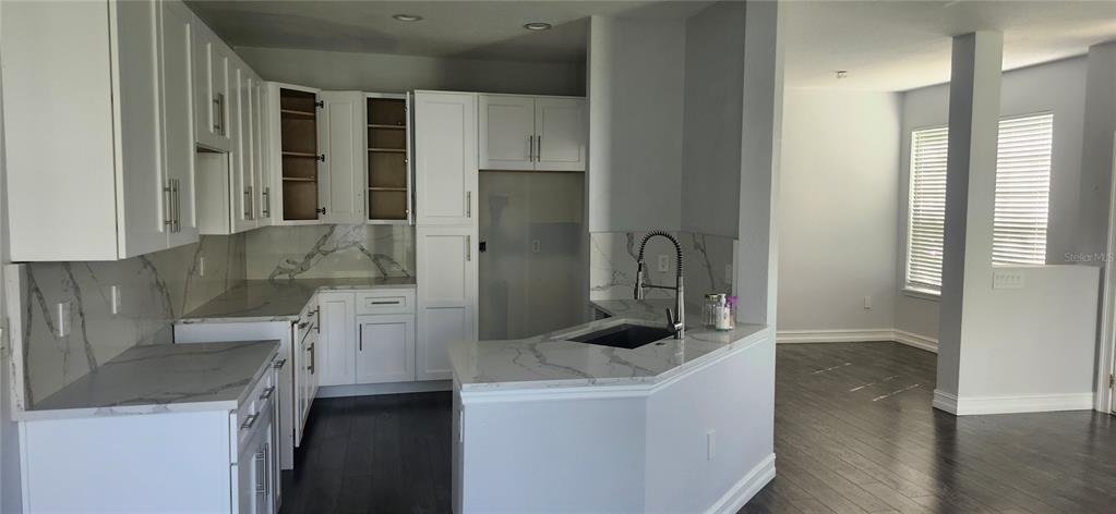 27606 Pleasure Ride Loop Wesley Chapel, FL 33544 - Photo 4 of 31