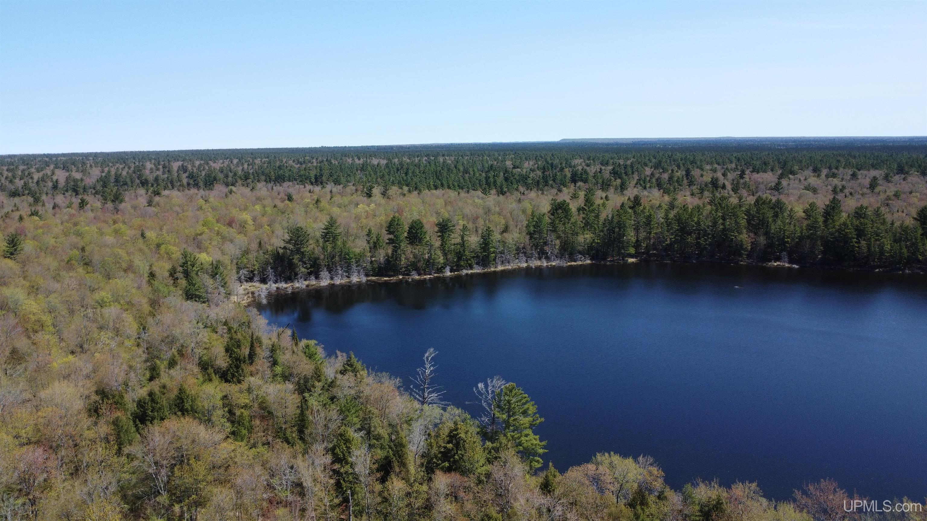 Off Adams Trail Shingleton, MI 49884 - Photo 27 of 46