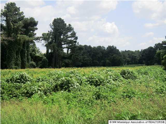 20 Hudson Road Hernando, MS 38632 - Photo 1 of 2 Primary Photo