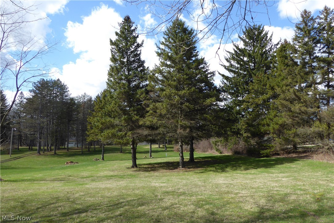 12964 Sperry Road Chesterland, OH 44026 - Photo 22 of 23 View from Sperry Road - House Sits Back Far with Driveway Access on Wyandot Road. There is an Additional Wooded 9+ Acre Parcel to the Left that Has an Older Two Car Garage and Well - $200,000.