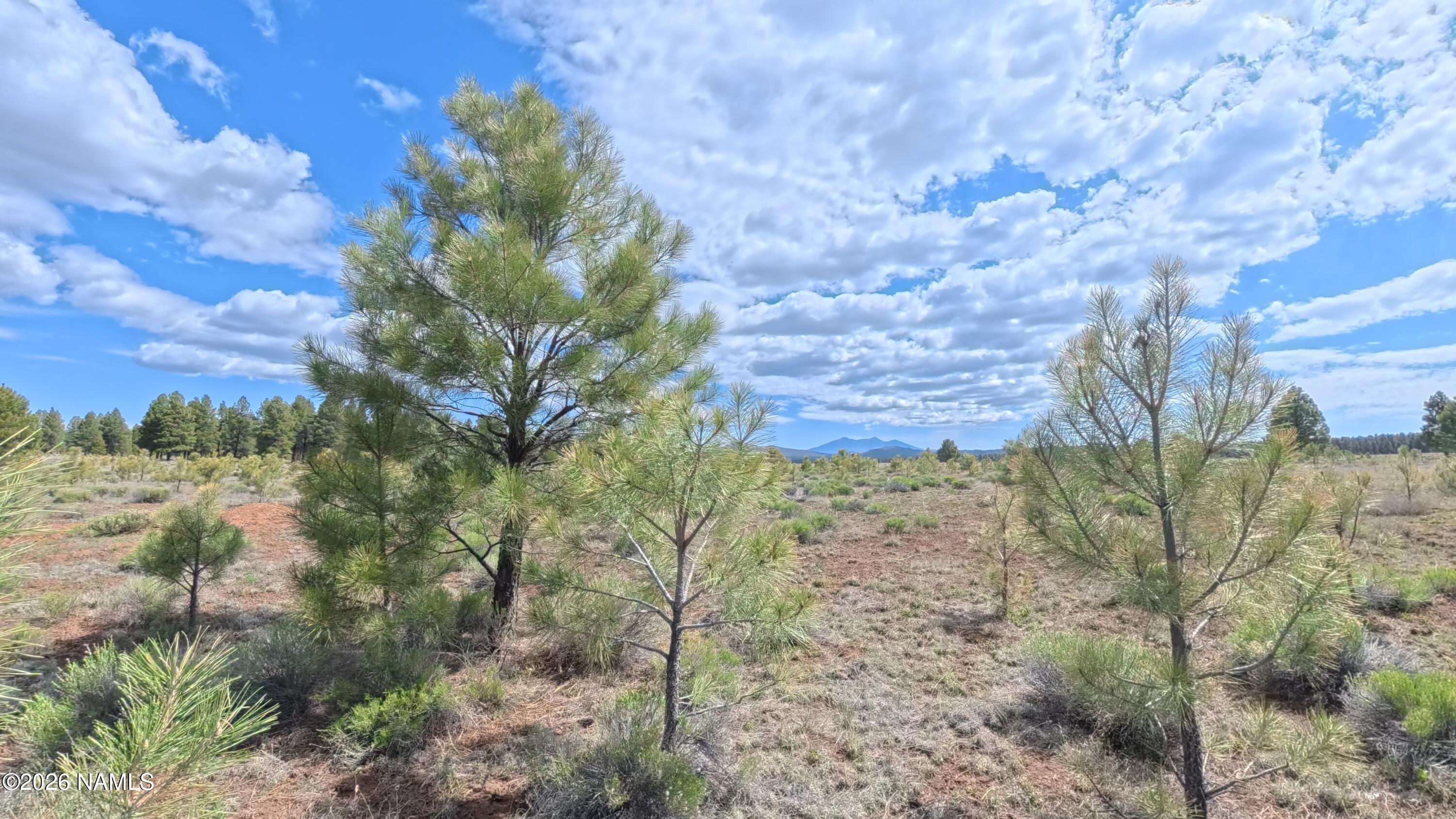 12565 Camp Kimball Road Parks, AZ 86005 - Photo 15 of 60 IMG_20260501_100243_00_174_2026-05-04_07
