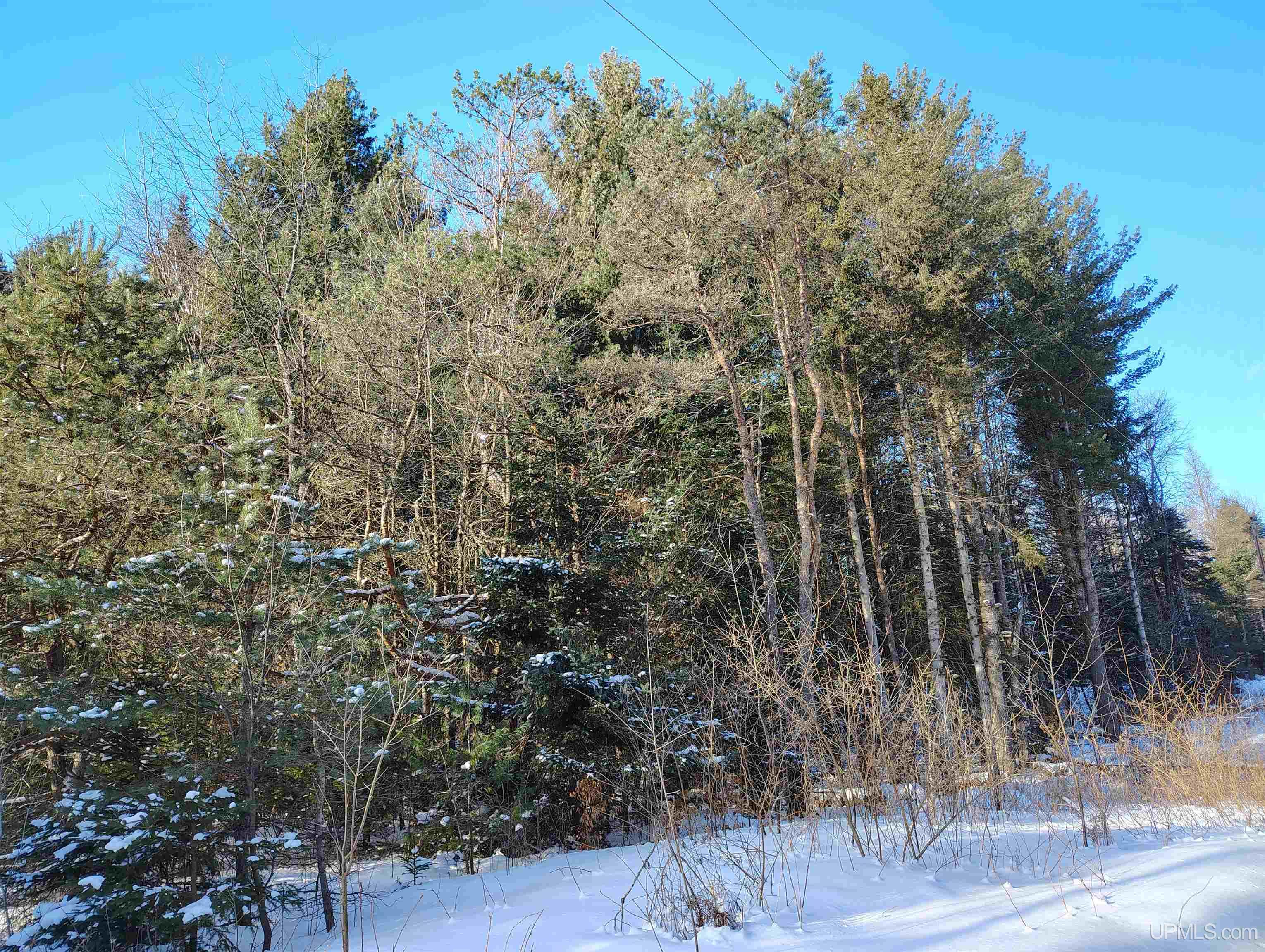Tbd Off Dana Lake Road Wetmore, MI 49895 - Photo 52 of 54 Gallery Image 52