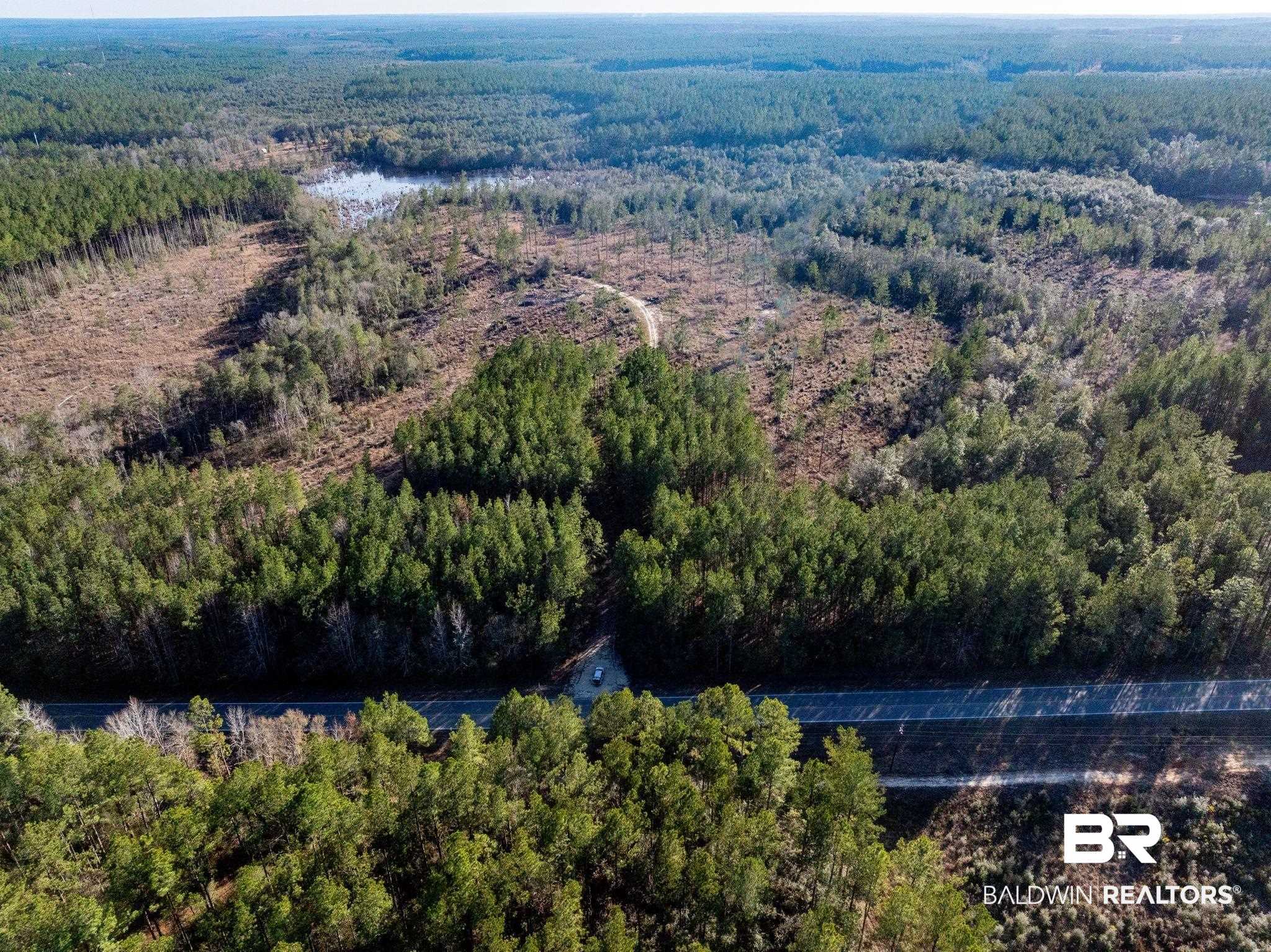 1 Beverly Jeffries Highway Citronelle, AL 36522 - Photo 5 of 12