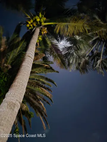 a view of a yard from a window