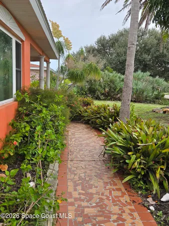 a view of a garden with plants