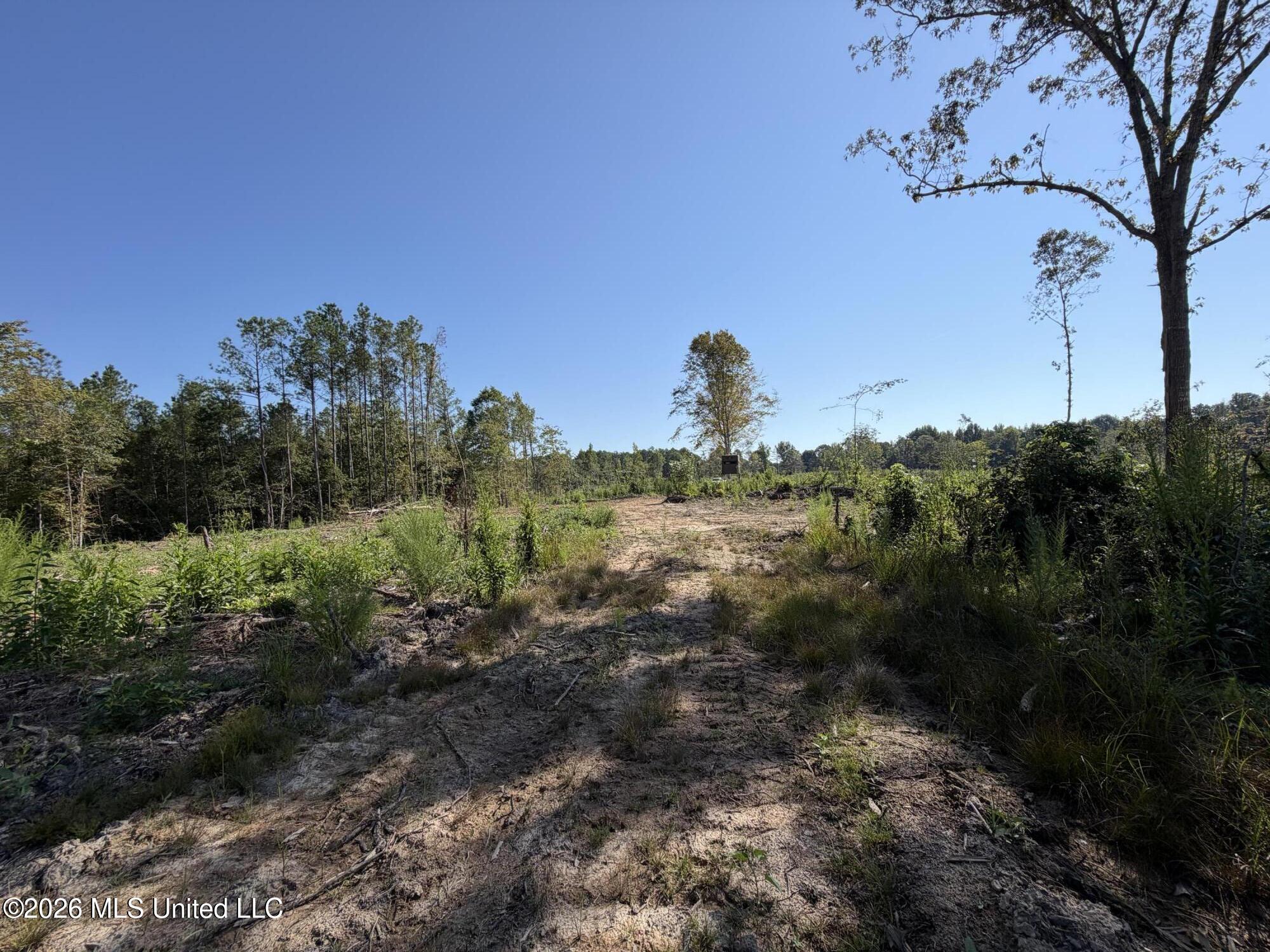 Cauthen Road Camden, MS 39045 - Photo 19 of 22 IMG_1471