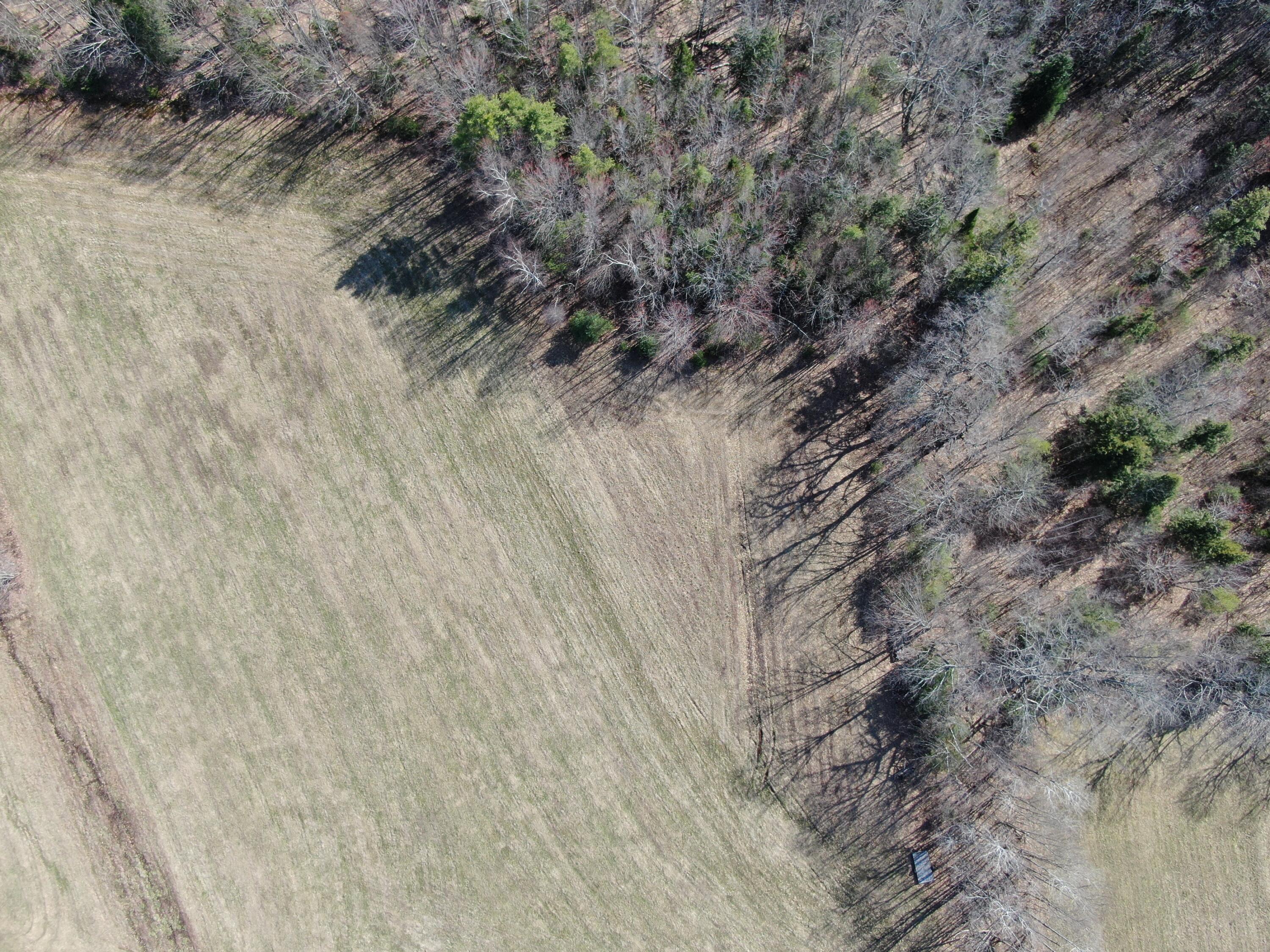 DJI_0056