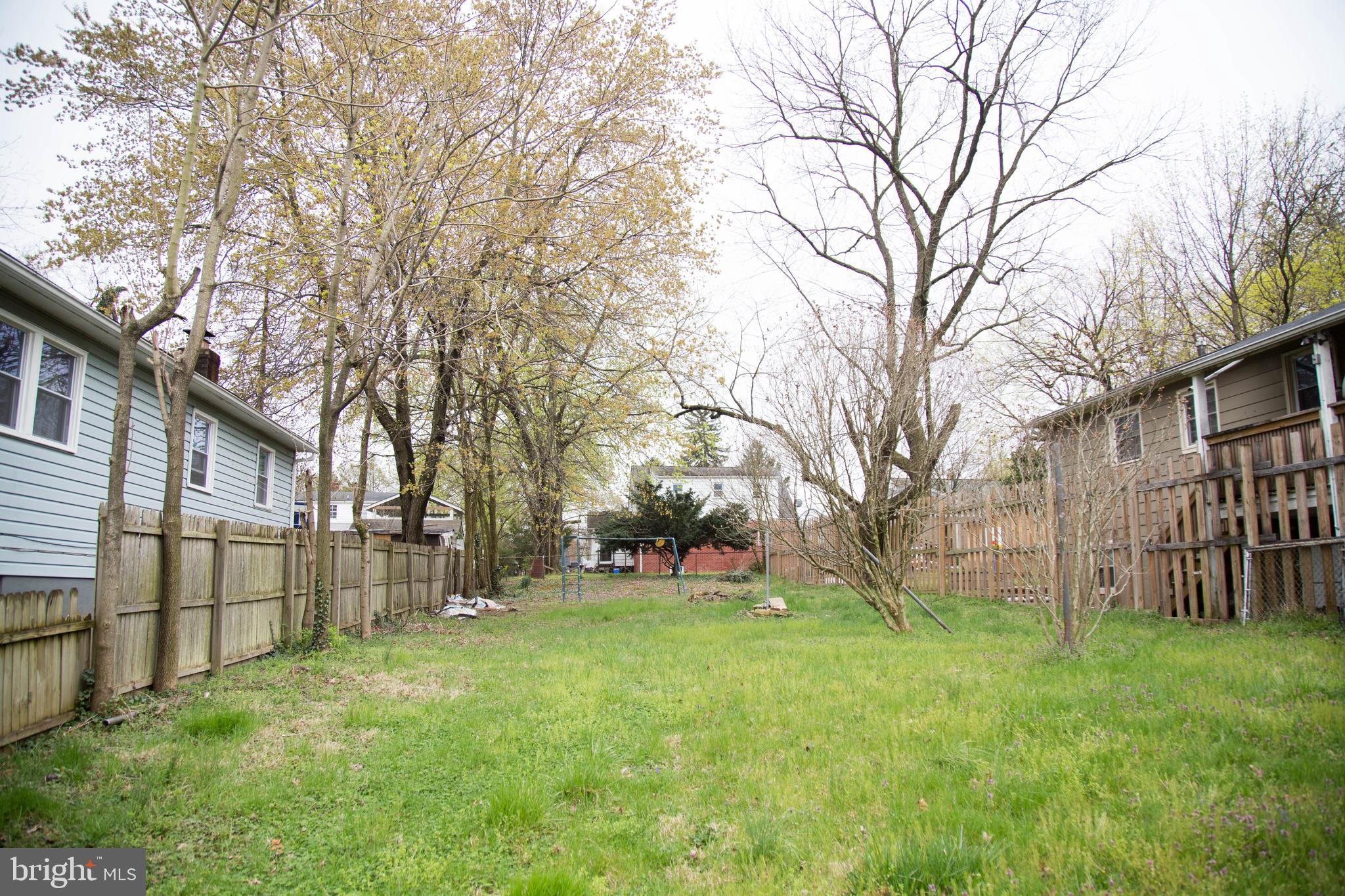 a view of a yard with a large tree
