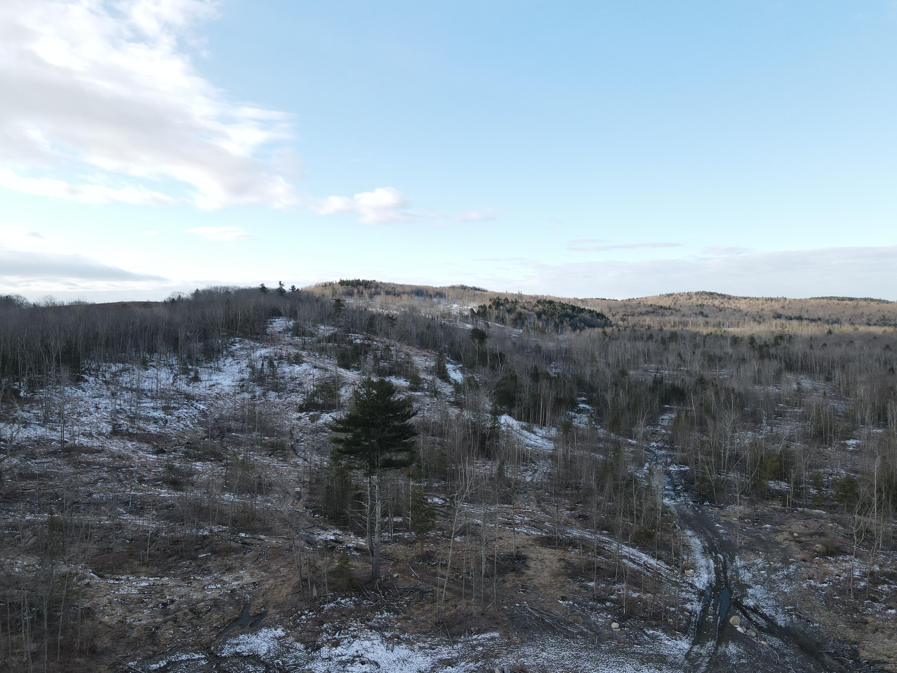 74 French Town And Muzzy Ridge Road Searsmont, ME 04973 - Photo 13 of 39 2025-03-27 07.53.12