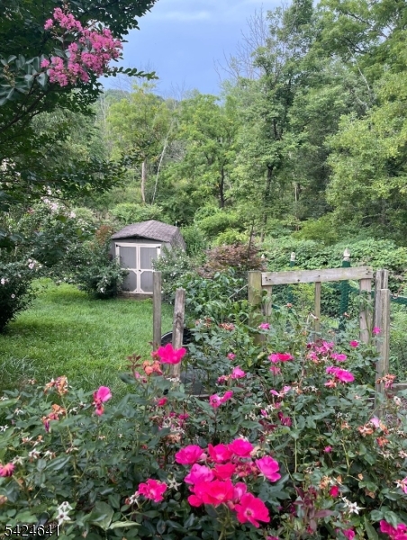 21 Marble Street Washington, NJ 07882 - Photo 19 of 21 a view of a flower plants