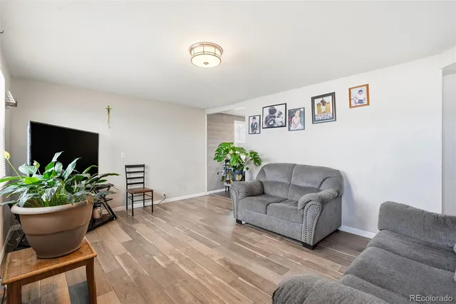a living room with furniture potted plant and a potted plant