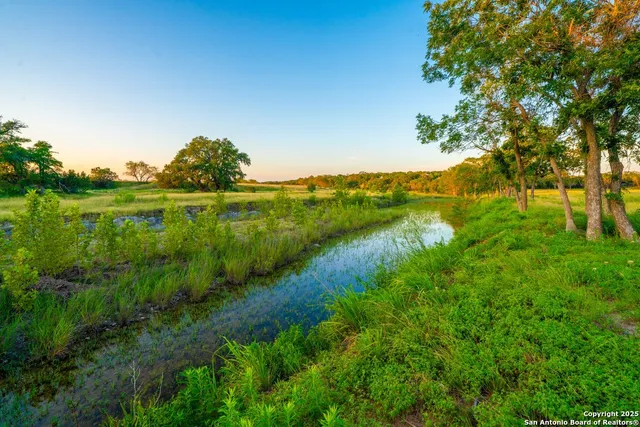 a view of a lush green outdoor space with a lake view