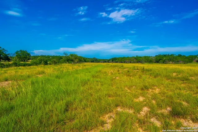 a view of an ocean from a yard