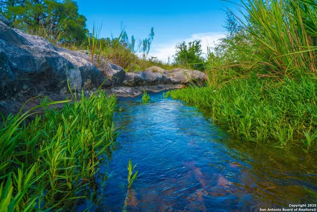 a view of a garden with an empty space
