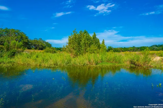 a view of an ocean from a yard