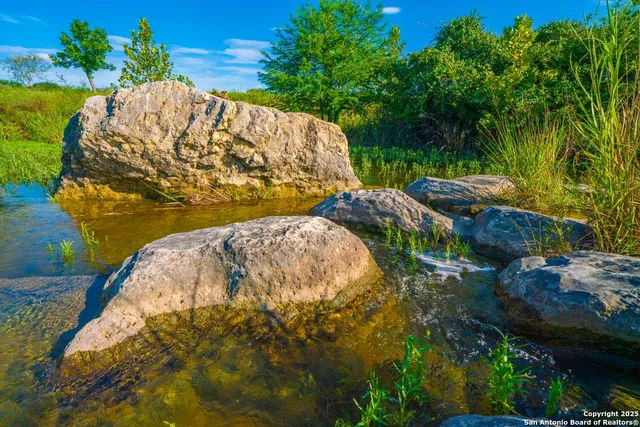 a view of a garden with a fountain