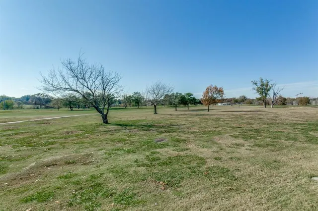 a view of grassy field with trees