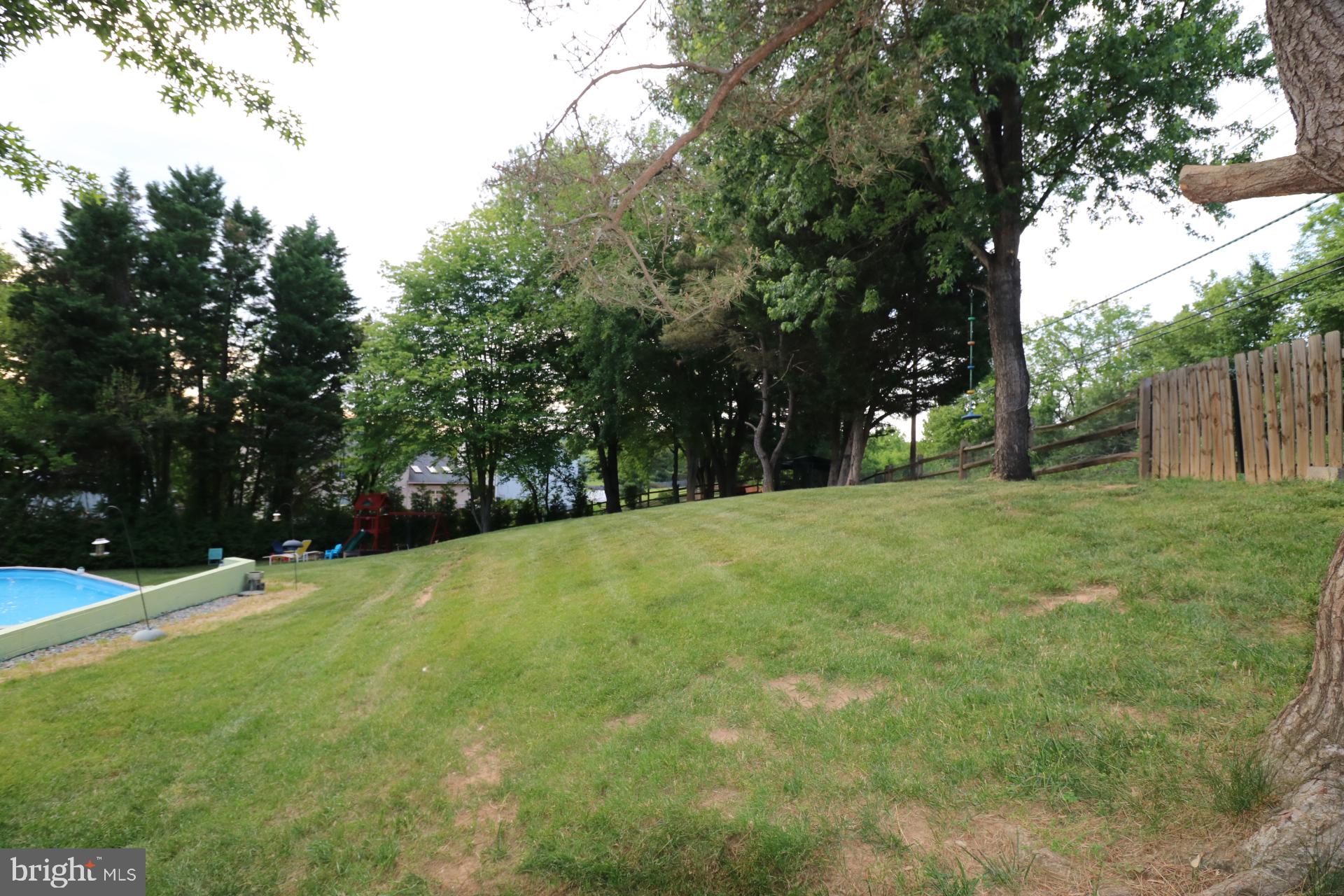 11901 Rustic Farm Court Germantown, MD 20874 - Photo 115 of 134 Lush green yard with serene trees.