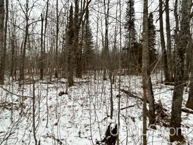 Tbd4 Larson Road Atlantic Mine, MI 49905 - Photo 32 of 41 Gallery Image 32