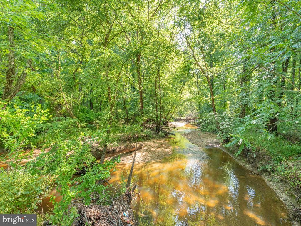 6704 Woodland Road Morningside, MD 20746 - Photo 10 of 38 Gallery Image 10