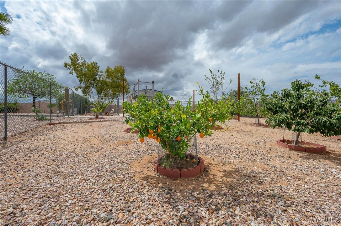 3685 Milky Way Road Golden Valley, AZ 86413 - Photo 44 of 48 Yard