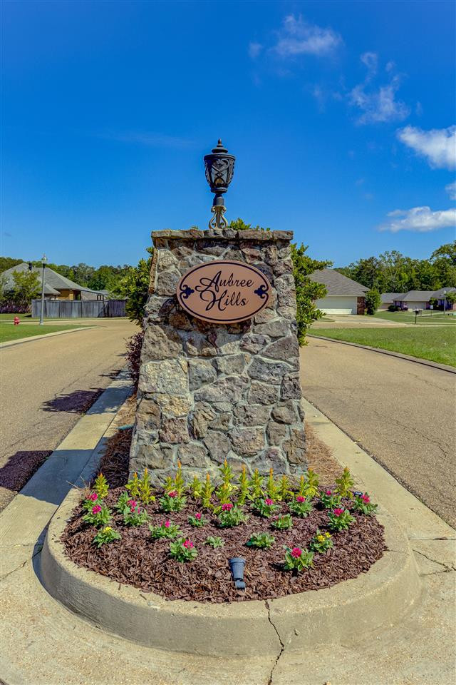123 Britton Circle Flowood, MS 39232 - Photo 31 of 31 Photo 33