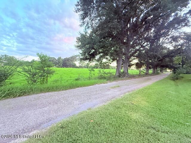 25 Wes Dillon Road Tylertown, MS 39667 - Photo 16 of 45 IMG_5221