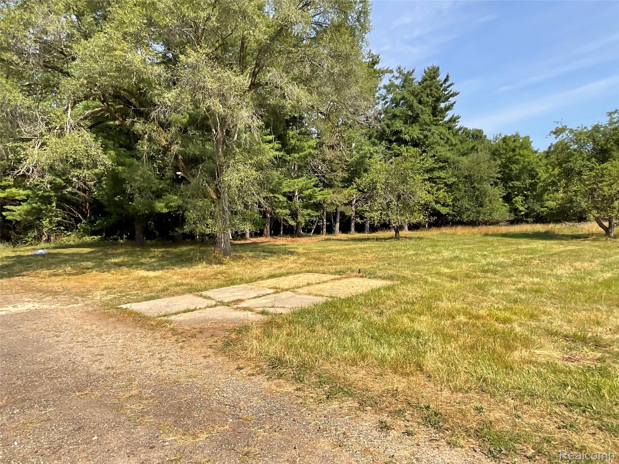 10119 Godfrey Road Bancroft, MI 48414 - Photo 39 of 47 Gravel driveway with concrete pad, surrounded by mature trees and natural landscaping