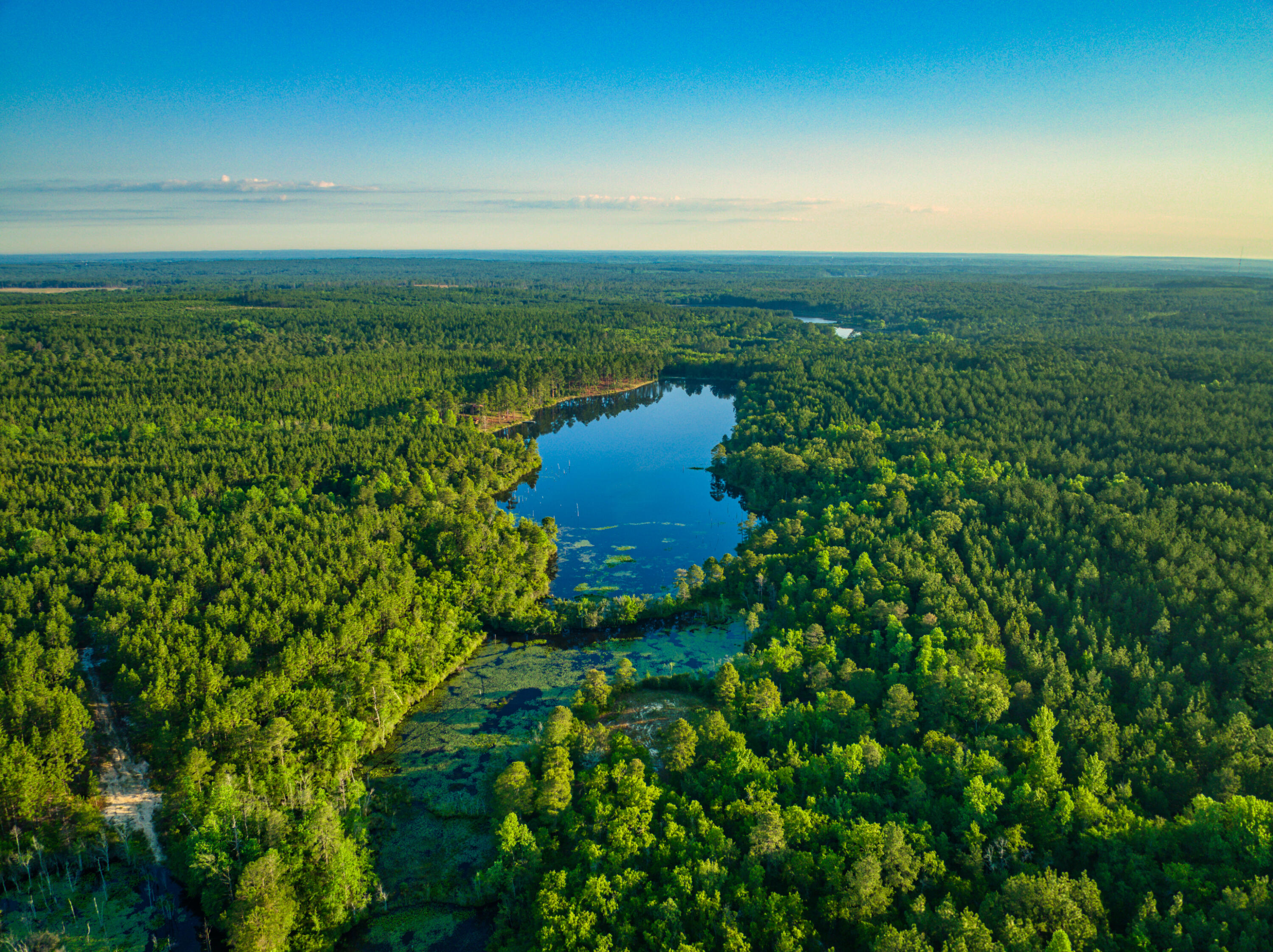 3133 Society Hill Road Cheraw, SC 29520 - Photo 1 of 19 DJI_0011