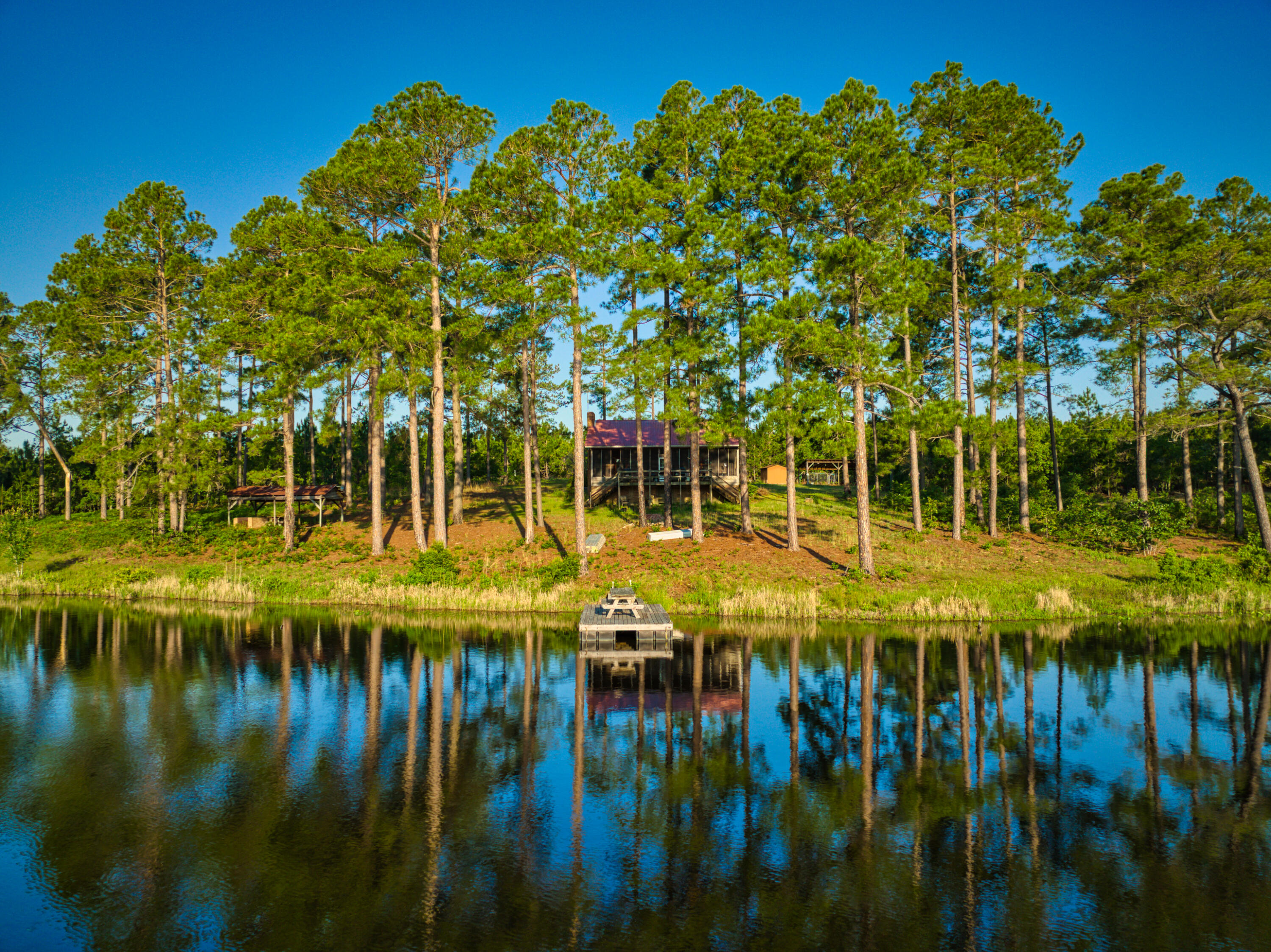 3133 Society Hill Road Cheraw, SC 29520 - Photo 4 of 19 DJI_0050