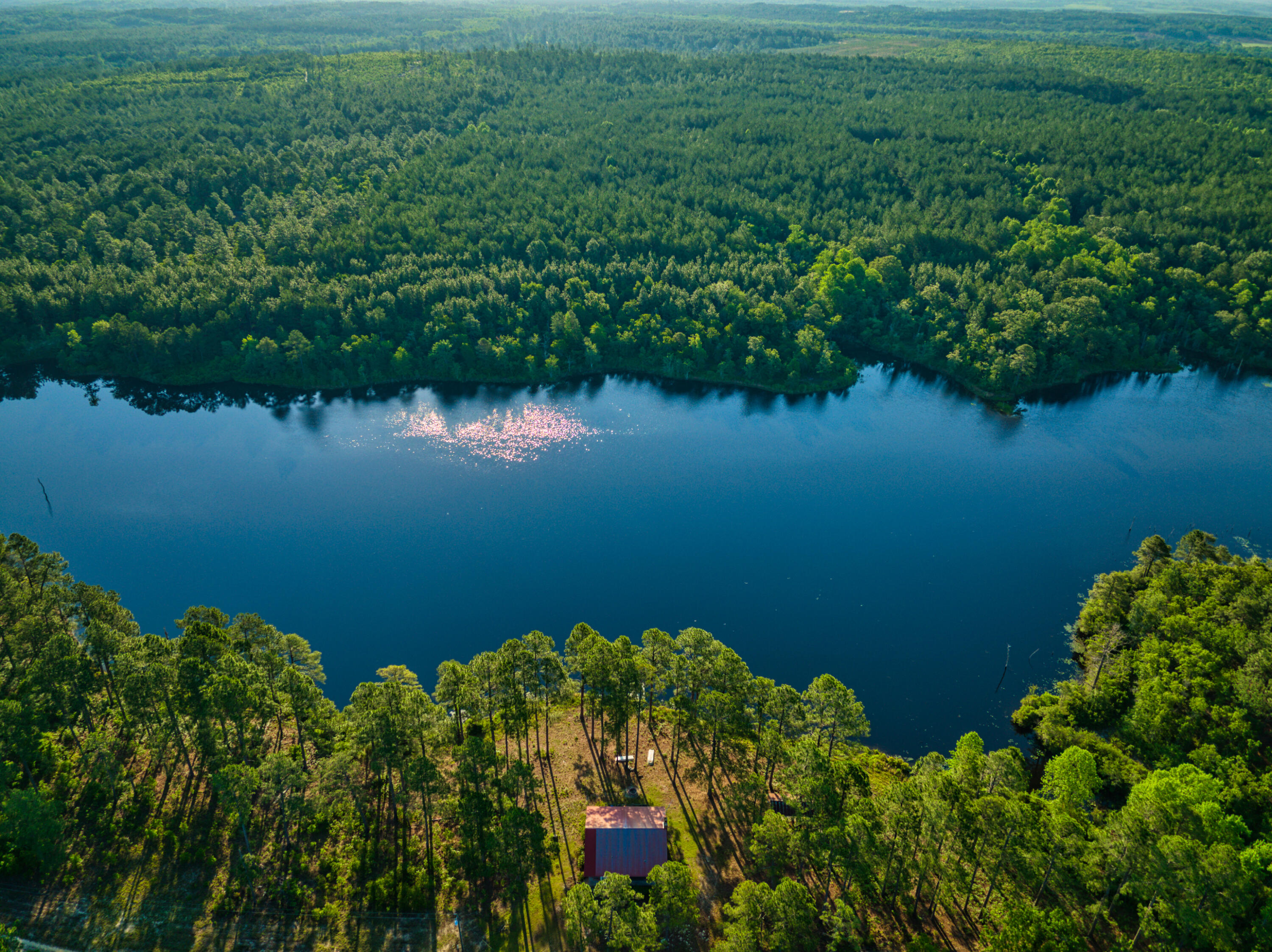 3133 Society Hill Road Cheraw, SC 29520 - Photo 5 of 19 DJI_0029