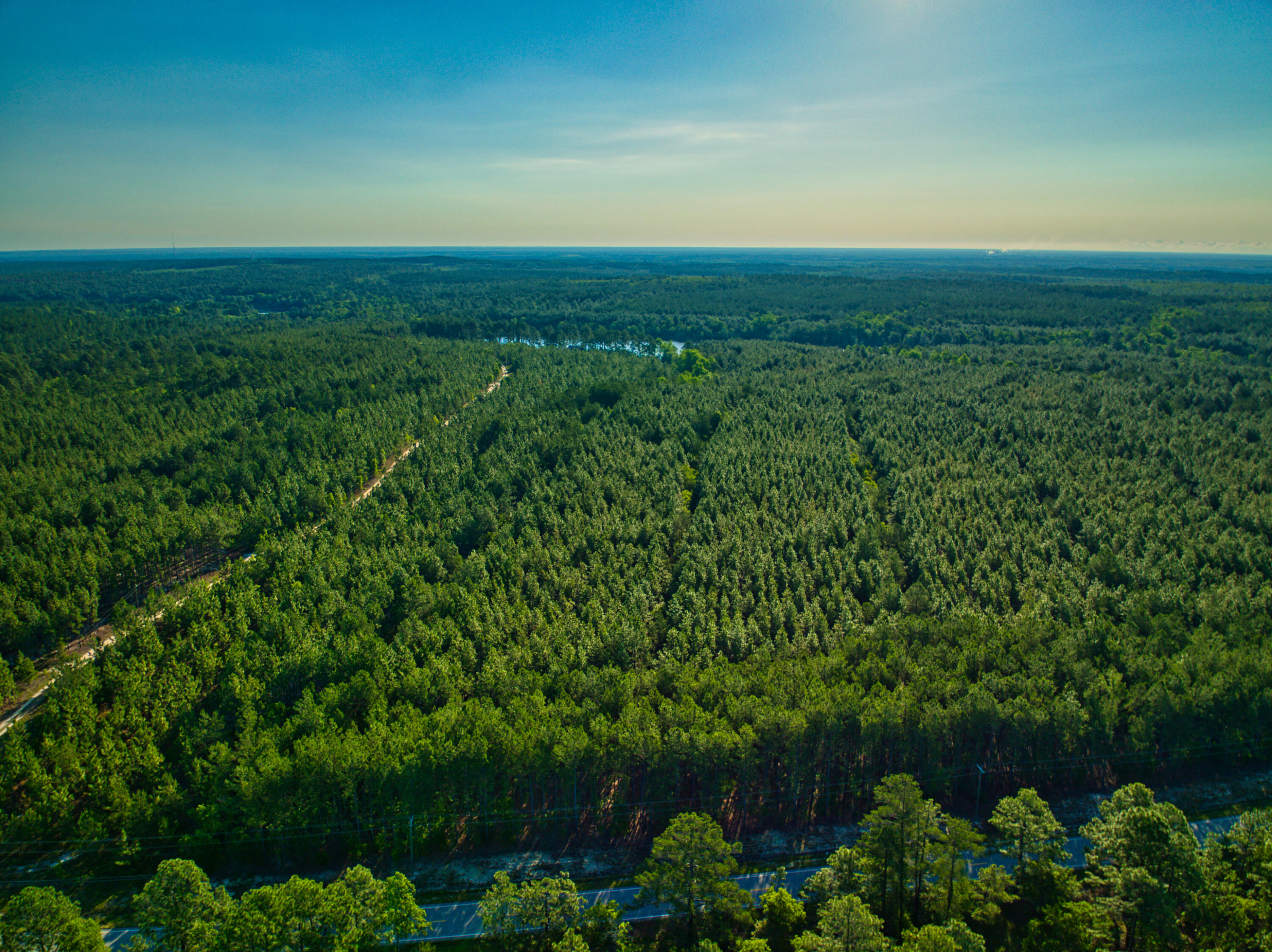 3133 Society Hill Road Cheraw, SC 29520 - Photo 9 of 19 DJI_0069