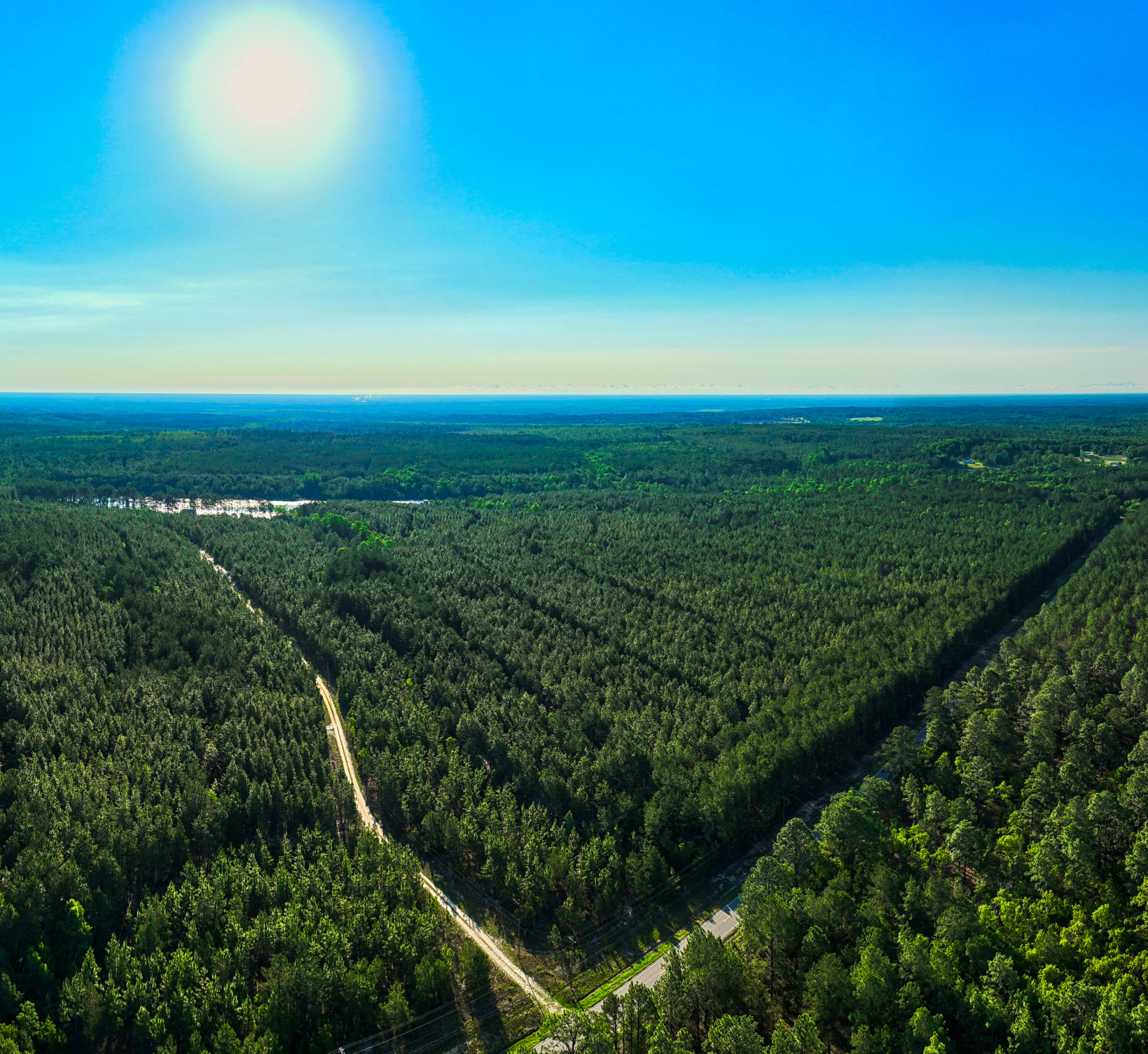 3133 Society Hill Road Cheraw, SC 29520 - Photo 10 of 19 DJI_0077