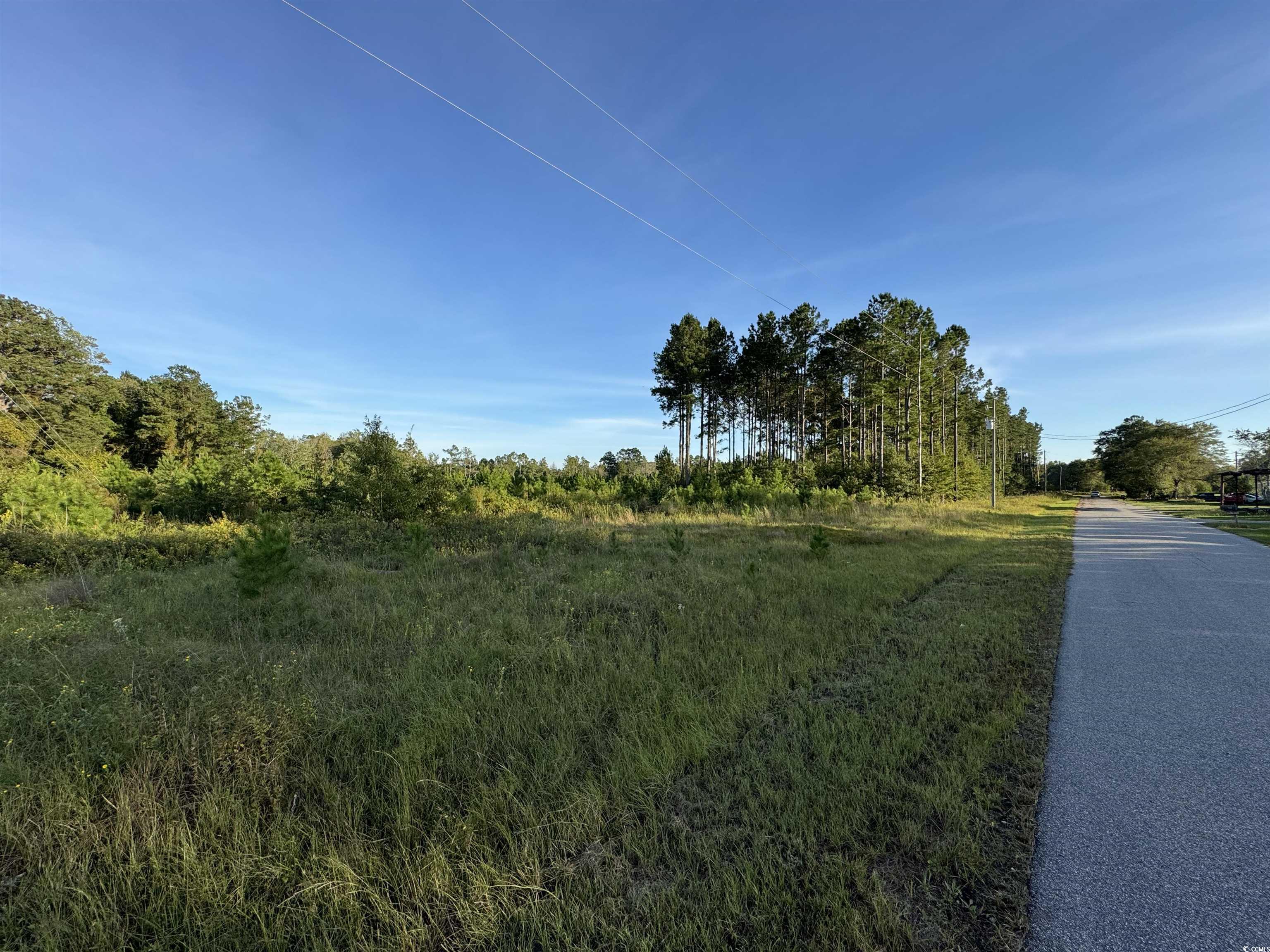 67 West Loris Sc 29569 Loris, SC 29569 - Photo 2 of 7 View of road