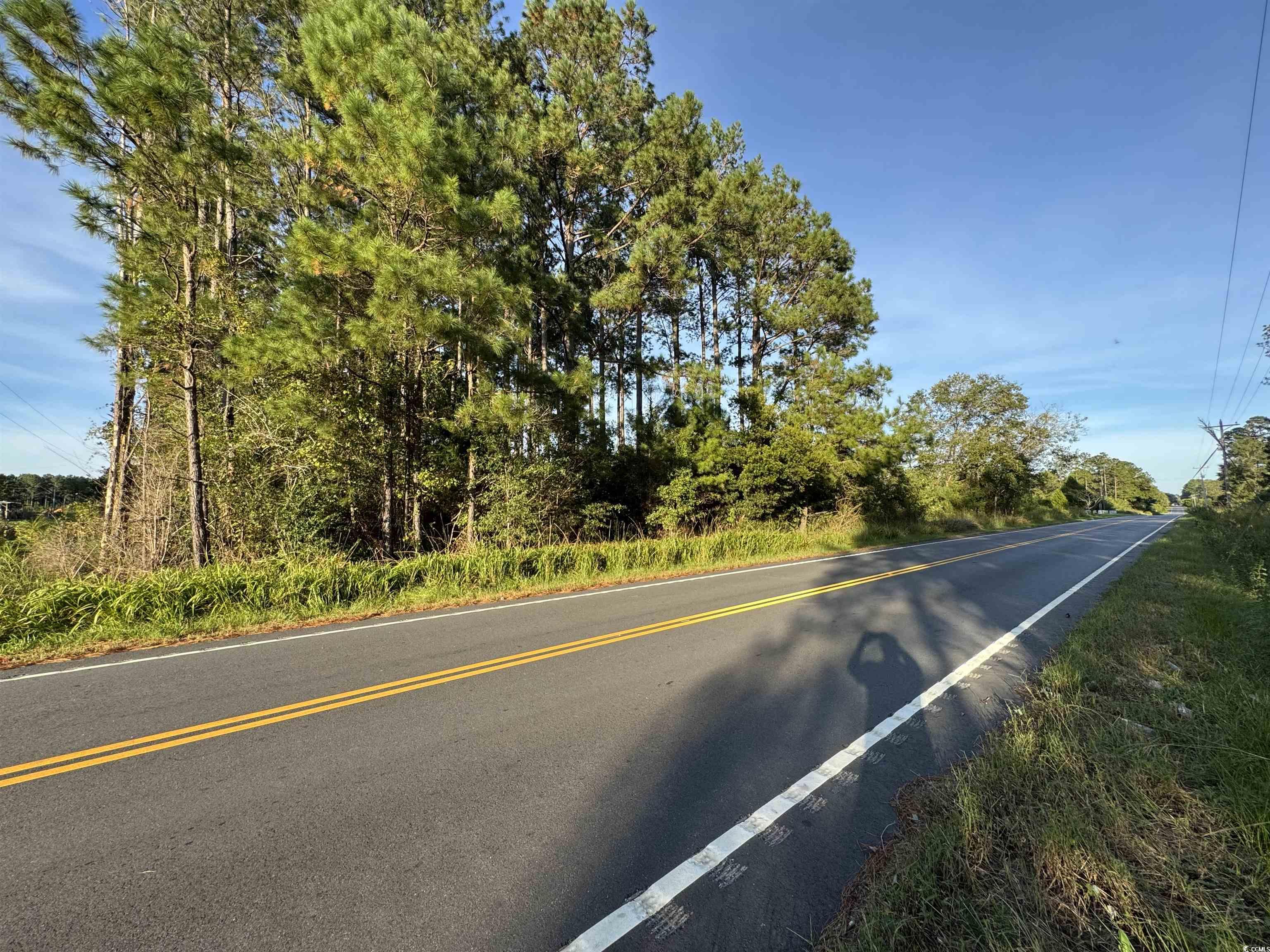 67 West Loris Sc 29569 Loris, SC 29569 - Photo 3 of 7 View of street